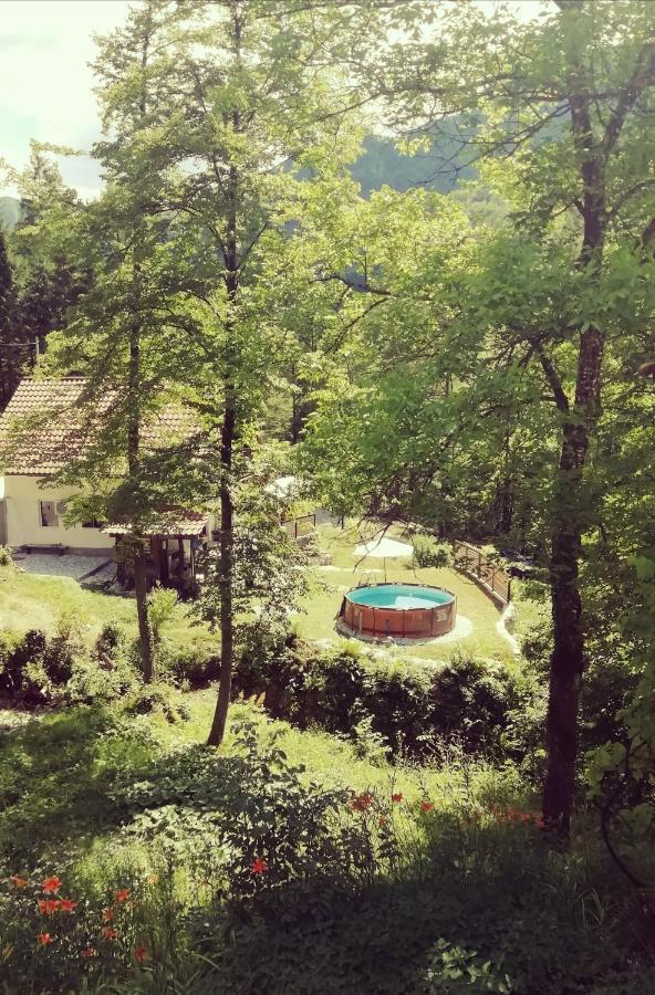 Naturalina Holiday House Gorenja Trebusa Buitenkant foto