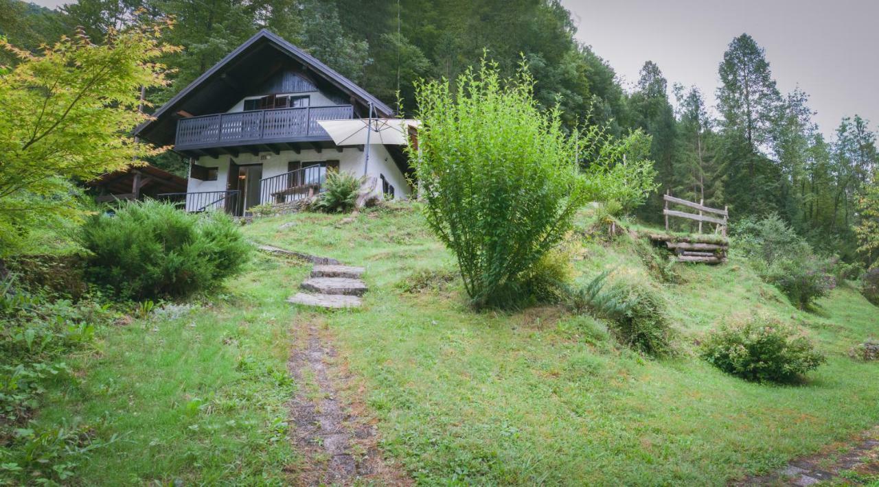 Naturalina Holiday House Gorenja Trebusa Buitenkant foto