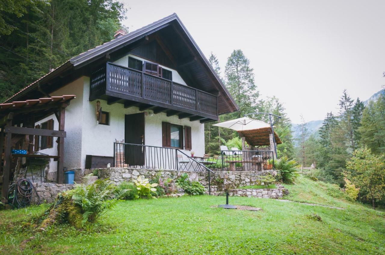 Naturalina Holiday House Gorenja Trebusa Buitenkant foto