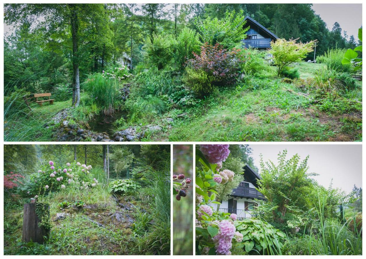 Naturalina Holiday House Gorenja Trebusa Buitenkant foto
